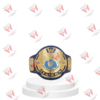 World Wrestling Entertainment Championship Replica Title Belt