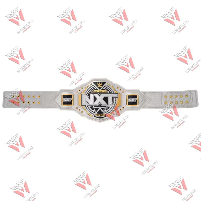 NXT Women's Wrestling Championship 2024 Replica Title Belt