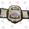 NWA National North American Championship Replica Belt