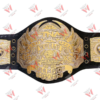 TNA World Heavyweight Wrestling Championship Replica Belt