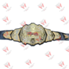 NEW TNA Digital Media Wrestling Championship Belt Replica