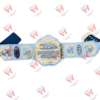 TNA World Heavyweight Wrestling Championship Replica Belt