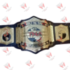 TNA World Tag Team Wrestling Champions Belt Replica